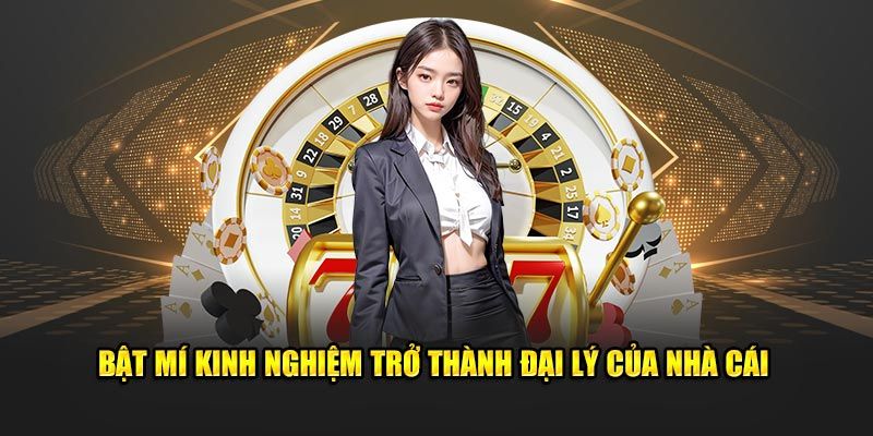 Thông tin cần biết về chính sách đại lý King88