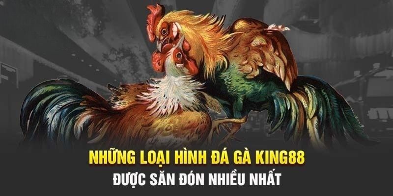 Các loại hình thi đấu thường gặp trong đá gà Philippines