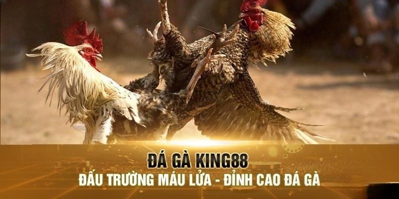 Truy cập King88 tham gia cược đá gà Philippines mọi lúc