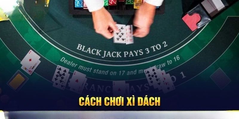 Hướng dẫn chơi Xì Dách tại King88 chỉ với 3 bước 